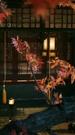 Episodes 17