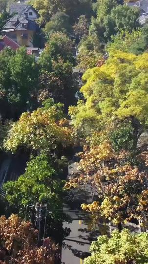 青山不聞故人語 第9集