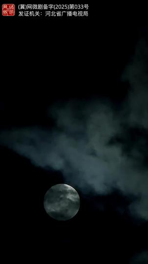 替身为凰 第9集