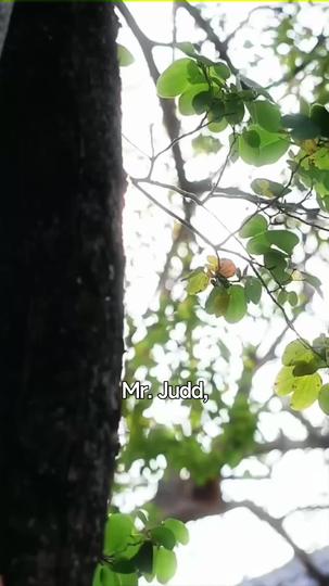 When Love Missed Its Moment Episode 9