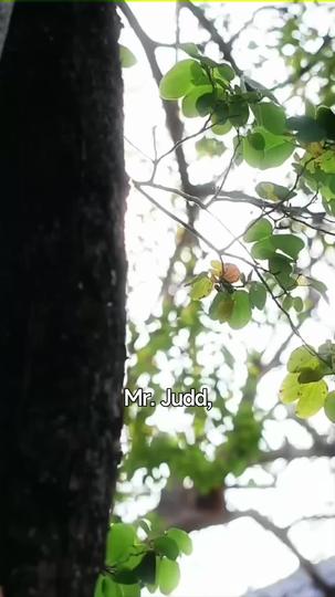 When Love Missed Its Moment Episode 9