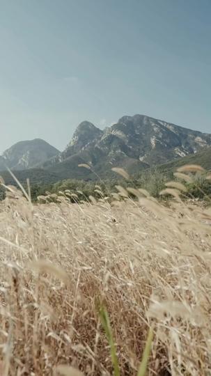 Rise Up, Combat King! Episode 1