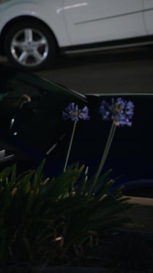 Say You Remember, Say You Love Episode 1