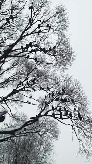 On One Condition Episode 1