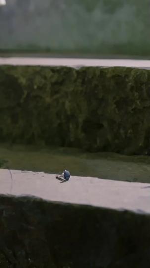 안개 속의 사랑 제5회