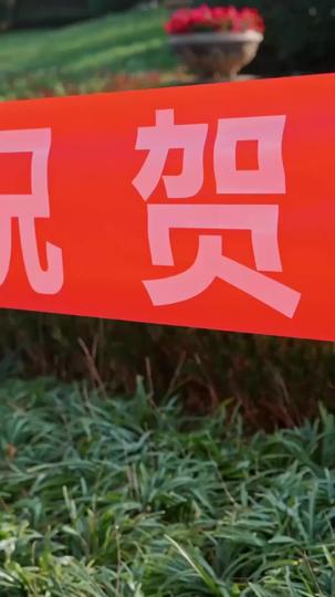 I Designed My Revenge, You'll Wear the Regret Episode 11