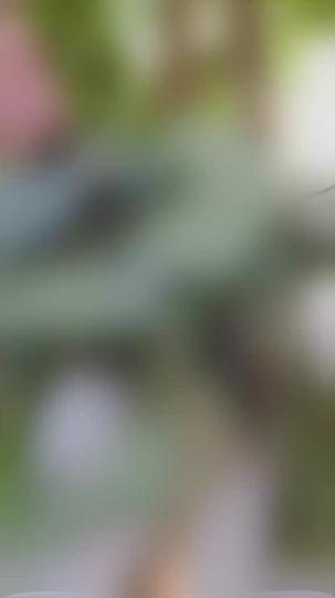 Die unerwünschte Ehefrau schlägt zurück 1Folgen