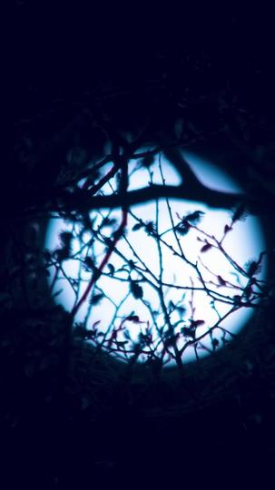 Je T'Aime à en Mourir Épisode2