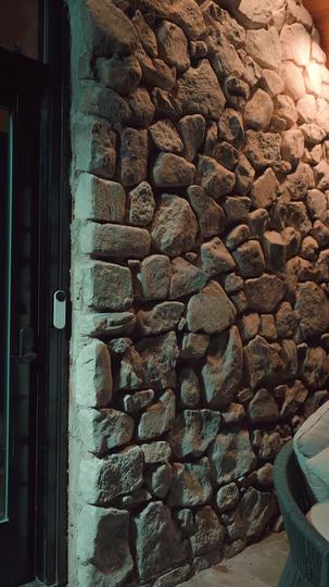 From Rags to Riches: Pet Shop Cinderella Episode 6