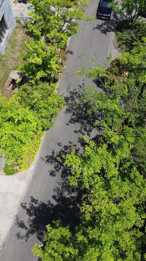 The chauffeur Episode 10