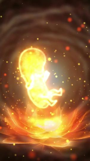 Before the First Breath: The Unborn Awakens Episode 7