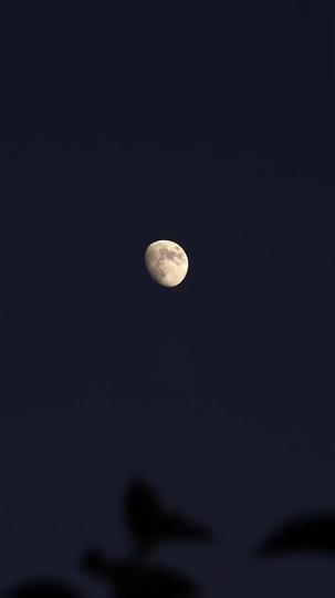 Schemes of the Heart: Outwitting Enemies, Capturing Love Episode 5