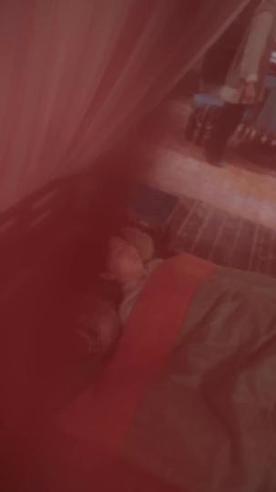 寒門棄學？我十二歲連中三元！ 第1集