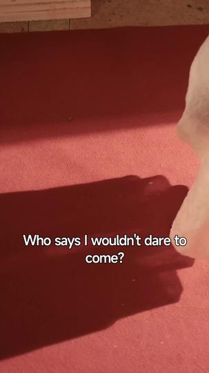 Stunning the '80s Episode 10