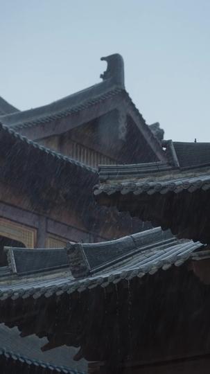 权臣的软肋 第6集