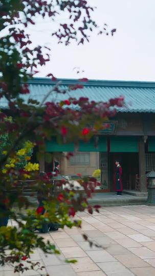 大夏双骄 第10集