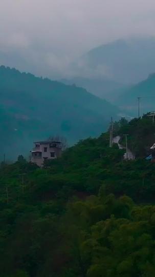 小さな錦鯉 〜家族に福を届けます〜 第 1 話