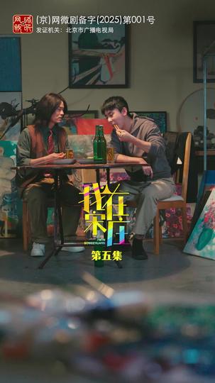 我在宋庄 第5集