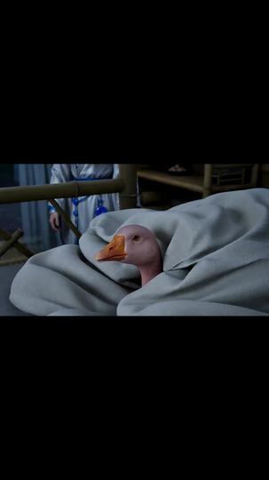 Feathered Prodigy: Ascension of the Goose Episode 8