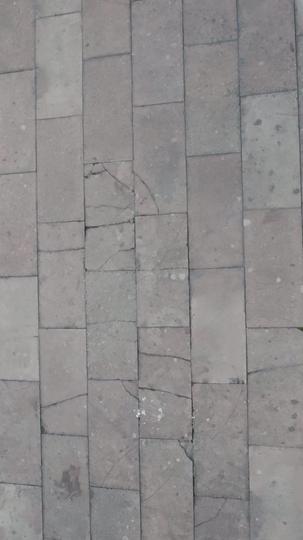 大夏龙君 第9集