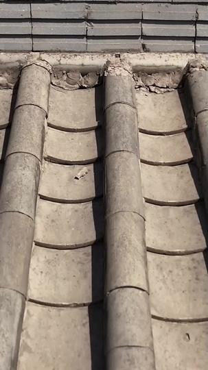 She Plays the Game, She Wins the Throne Episode 1