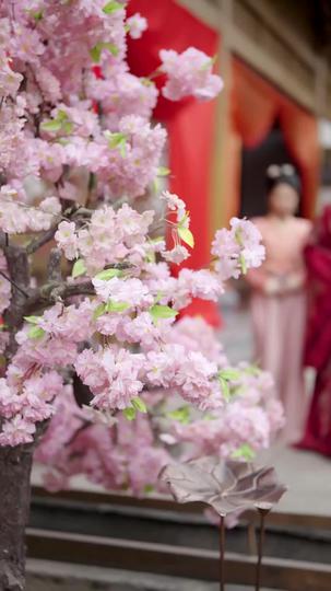  หงส์งามสะท้านบัลลังก์ ที่7ตอน