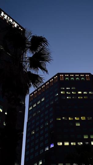 A Sedução do Jardineiro 1Episódio