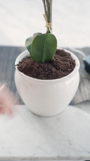 No te metas con la hija del multimillonario Episodio 7