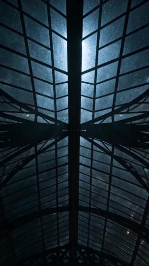 Fantastic Beasts and the Night Keeper Episode 5