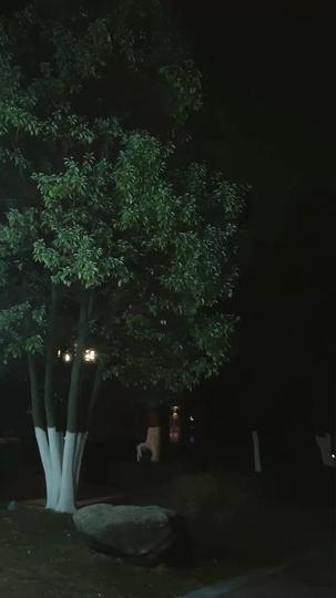 I Played the Game, He Claimed My Heart Episode 11