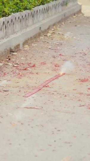 娇野美人内卷八零 第6集