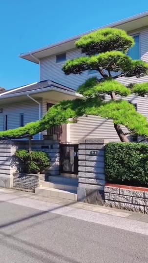 与温柔同行 第8集