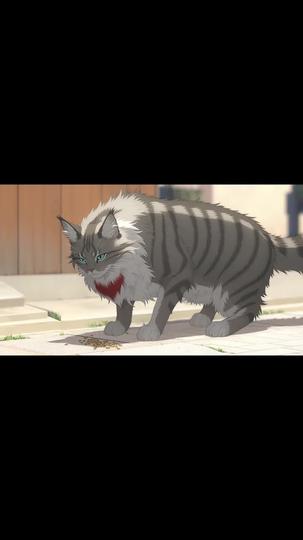 Kucing Sakti Pencari Cinta Episode 2
