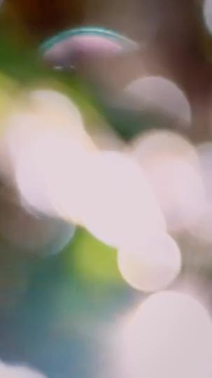 Tied to My Dangerous Mafia Husband Episode 6