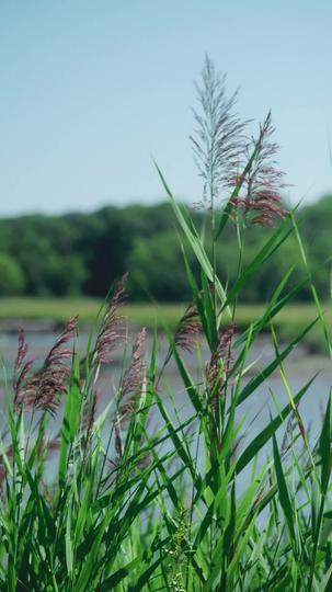 The Getaway Heiress Returns Episode 7