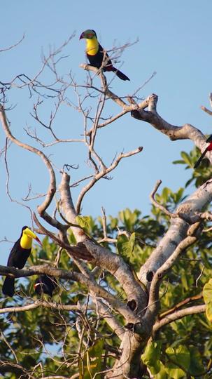 From Lost Heiress to Royal Highness Episode 1