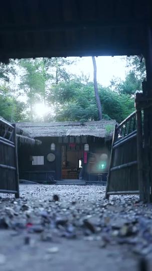 系統助我:亂世娶妻成霸主 第1集