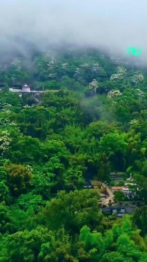 Honor Reclaimed: The Invincible Commander Episode 1