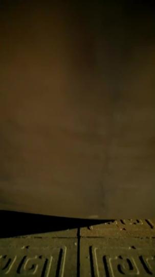 버려진 의녀, 황위를 되찾다 제1회