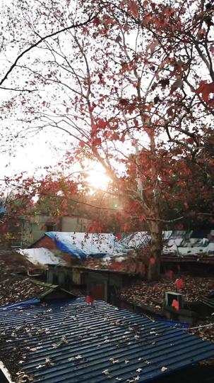 سر الكشك الذي يجذب المليارديرات 1مجموعة