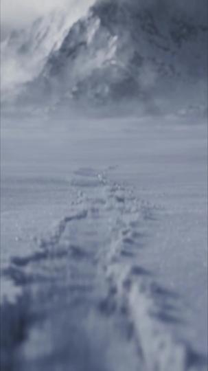 Snow Mountain Betrayal: Left to Freeze, Saved by a Billionaire Episode 1