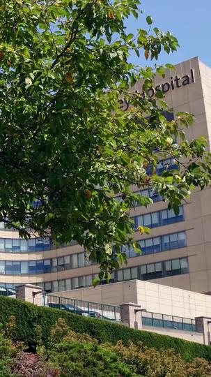 Seine Liebe war eine Lüge(Deutsch Synchronisiert) 5Folgen