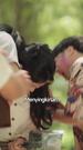 Episodes 28
