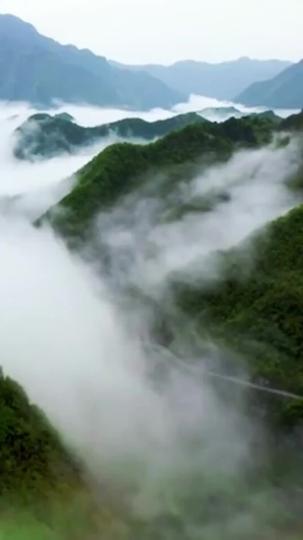 Sorry, This Plot Is Mine Now Episode 1