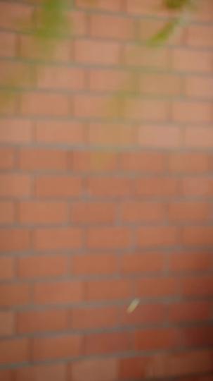 Once Upon a Divorce: The Double Life of Lady Diana Episode 6