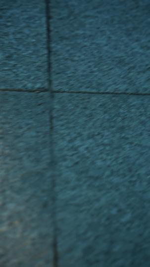 不负故乡月 第11集