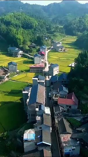 阿兹海默症的父亲去世后 第1集