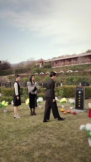 遺產案開庭,對方律師是我兒子 第2集