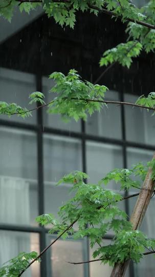 我在回忆里万劫不复 第10集