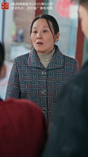 正月初二，回娘家 第3集